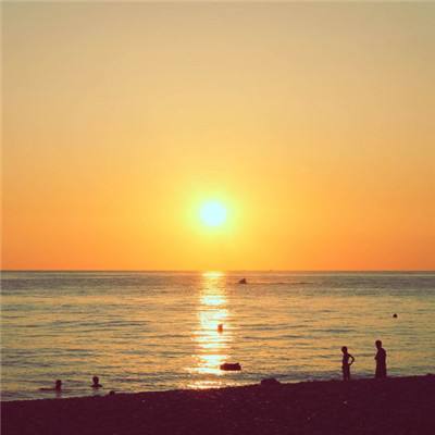 m6米乐网页版登录入口